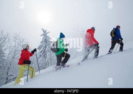 Con le racchette da neve a piedi su Hörnli oltre Tösstal, Foto Stock