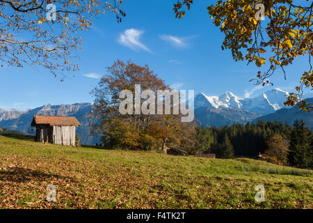 Beatenberg, Svizzera, canton Berna Oberland Bernese, vantage point, vista monti Eiger, monaco, Jungfrau, autunno Foto Stock