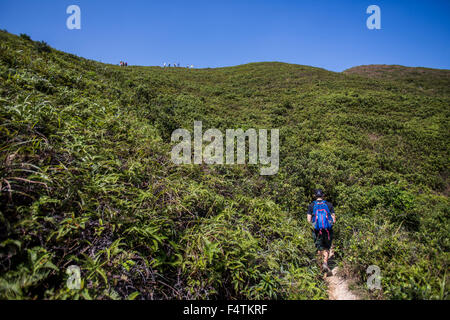 Stacciature picco in Sai Kung National Park, Hong Kong il 21 ottobre 2015. Foto Stock