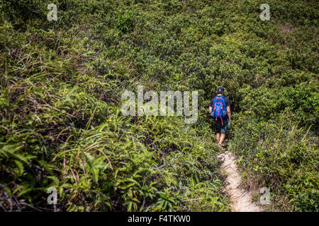 Stacciature picco in Sai Kung National Park, Hong Kong il 21 ottobre 2015. Foto Stock