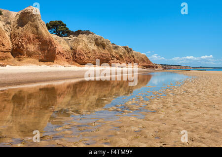 Red banche, Australia, Sud Australia, Kangaroo Island, costa, rock, Cliff, Foto Stock