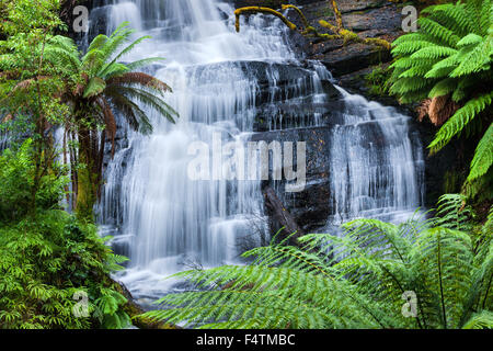 Tripletta cade, Australia, Victoria, grande Otway, parco nazionale, cascata, alberi di felce Foto Stock