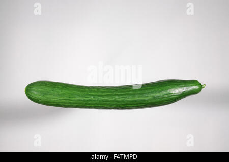 Il cetriolo su sfondo bianco Foto Stock