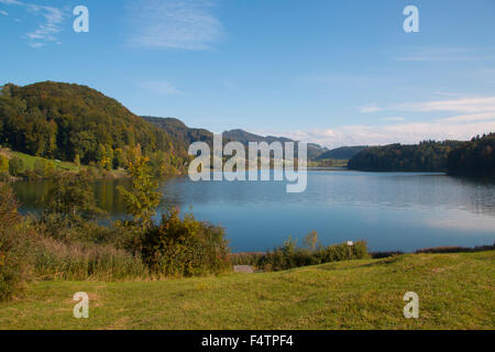 La Svizzera, Europa, canton Zurigo, Türlersee, lago, autunno, legno, foresta, Foto Stock