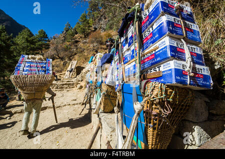 Porter trasportano più di 100 kg di carico pesante di bottiglie di birra di un binario ascendente Foto Stock