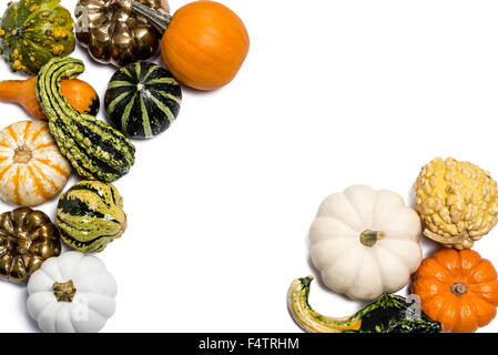 Ringraziamento Autunno Autunno zucca & Gords nel raggruppamento asimmetrico intaglio su sfondo bianco Foto Stock