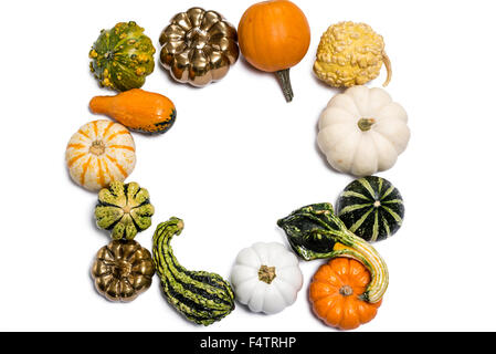 Ringraziamento Autunno Autunno zucca & Gords in piazza ritaglio di raggruppamento su sfondo bianco Foto Stock