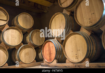 Botti da vino nella cantina di Siraz, Valle Elqui, Ande parte del Deserto di Atacama nella regione di Coquimbo, in Cile Foto Stock