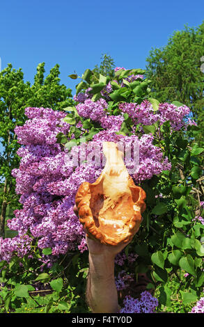 Scolpita a mano decorativo cucchiaio di legno nei pressi di Lilla tree. Foto Stock