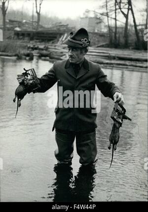 1962 - Horst Eick Rat Catcher di Berlino: non è pied di Hamelin ma il funzionario rat catcher di Berlino, chi è sen qui sul lavoro. ed egli non decoy i ratti con dolci note, come il suo famoso''predecessore 'did, ma con pezzi di mele. Horst Eick(52), una foresta officer, applicato per questo processo, come è stato pubblicizzato dal quartiere Spandau commissione. Questo era 13 anni fa e da allora egli ha catturato oltre 4000 ratti. aromatici quali pezzi di mela, hes Eick stabiliti al di fuori del fiume Havel per la cattura di tali topi muschiati, che sfoglia sul letto e causare tutta al terrapieno dai loro nes Foto Stock