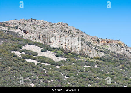 Foresta mediterranea oltre le montagne di quarzite Foto Stock