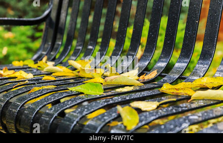 Autunno caduta foglie con gocce di pioggia su una panchina nel parco Foto Stock