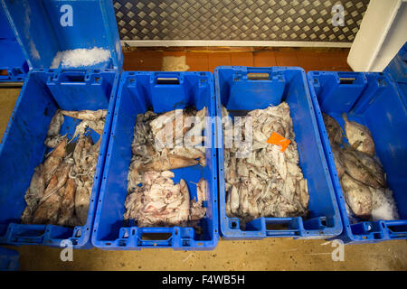 Pesce in scatole in un mercato del pesce pronto per andare verso i clienti / Ristoranti / mercanti di pesce ecc Foto Stock