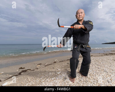 Kensho Tokumura, Hanshi 9th-dan Dento Ryukyu Kobujutsu Hozon Budo Kyokai formazione sulla spiaggia Heshikiya, Katsuren, Okinawa. 德村 賢昌 Foto Stock