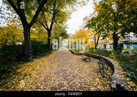 Graffiti e Colore di autunno a Helmholtzplatz, in Prenzlauer Berg di Berlino, Germania. Foto Stock