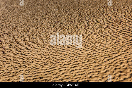 Modello di increspature di sabbia su una spiaggia di Pembrokeshire. Foto Stock