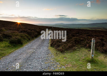 Il percorso Medlicott dalla lunga Mynd il vertice, vicino a Church Stretton, Shropshire, Regno Unito, con Corndon Hill nella distanza. Foto Stock