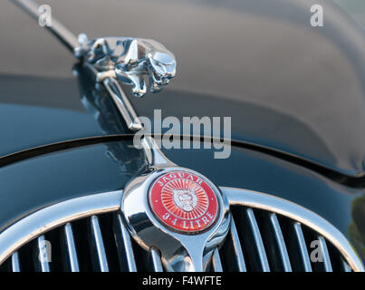 Saltando la Jaguar e il logo su classic Jaguar auto presso il Salone Internazionale dell'automobilismo vintage in Europa, Padova Italia Foto Stock