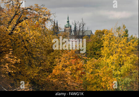 Praga, Repubblica Ceca. 23 Ott, 2015. I colori autunnali nel parco presso i tiratori (Strelecky) Isola di Praga Repubblica Ceca, Ottobre 23, 2015. © Katerina Sulova/CTK foto/Alamy Live News Foto Stock