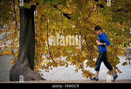 Praga, Repubblica Ceca. 23 Ott, 2015. I colori autunnali nel parco presso i tiratori (Strelecky) Isola di Praga Repubblica Ceca, Ottobre 23, 2015. © Katerina Sulova/CTK foto/Alamy Live News Foto Stock