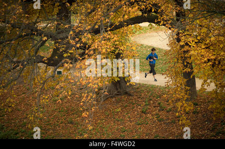 Praga, Repubblica Ceca. 23 Ott, 2015. I colori autunnali nel parco presso i tiratori (Strelecky) Isola di Praga Repubblica Ceca, Ottobre 23, 2015. © Katerina Sulova/CTK foto/Alamy Live News Foto Stock