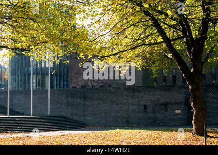 Londra albero piano vicino a Coventry Cathedral in autunno, West Midlands, England, Regno Unito Foto Stock