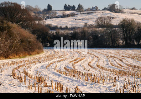 Nevicata in un campo di stoppia a Naish Hill, Wiltshire. Foto Stock