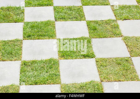 Erba tra le pietre per pavimentazione di blocco Foto Stock