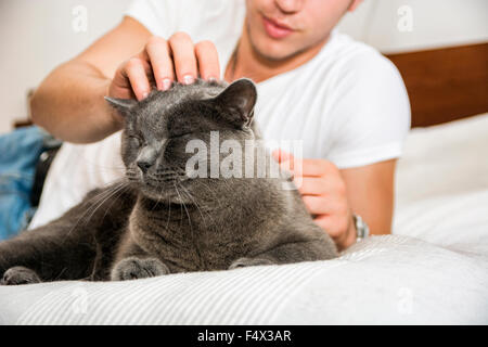 Bel giovane uomo Animal-Lover su un letto, avvolgente e coccole il suo grigio gatto domestico Pet. Foto Stock