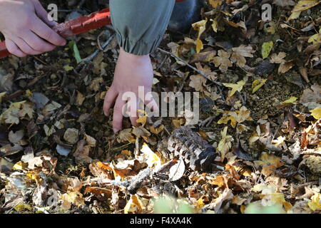 Travnik, Bosnia-Erzegovina (BiH). 23 Ott, 2015. Un soldato trova un terreno minato per rimuovere in villaggio Cifluk, vicino Travnik, Bosnia-Erzegovina (BiH), il Ott 23, 2015. Ci sono alcuni 130.000 inesplorata mine terrestri in BiH come reslut degli anni novanta in Bosnia la guerra. I piani della BiH per completare il lavoro di sminamento da 2019. Credito: Haris Memija/Xinhua/Alamy Live News Foto Stock