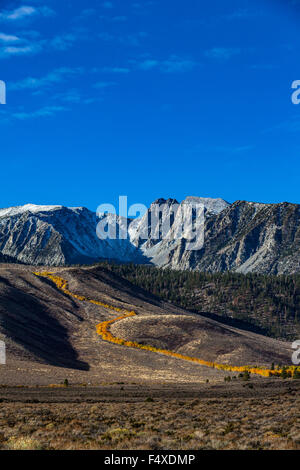 Autunno a colori lungo Sherwin Creek nei pressi di Mammoth Lakes California nella parte orientale della Sierra Nevada della California Foto Stock