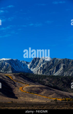 Autunno a colori lungo Sherwin Creek nei pressi di Mammoth Lakes California nella parte orientale della Sierra Nevada della California Foto Stock