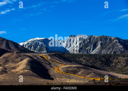 Autunno a colori lungo Sherwin Creek nei pressi di Mammoth Lakes California nella parte orientale della Sierra Nevada della California Foto Stock