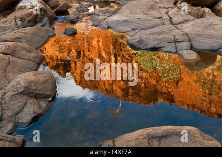 La riflessione di una parete di roccia in Ormiston Gorge. Foto Stock