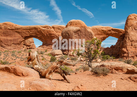 A nord e a sud di Windows, archi NP, Utah, Stati Uniti d'America Foto Stock