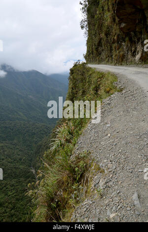 La morte road, camino de la muerte, yungas north road tra la paz e coroico, Bolivia Foto Stock