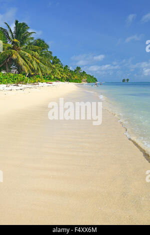 Anse La Reunion, spiaggia da sogno, palme, La Digue Island, Seicelle Foto Stock