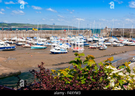 Acqua bassa nel porto a Saundersfoot, Pembrokeshire, Wales UK Foto Stock