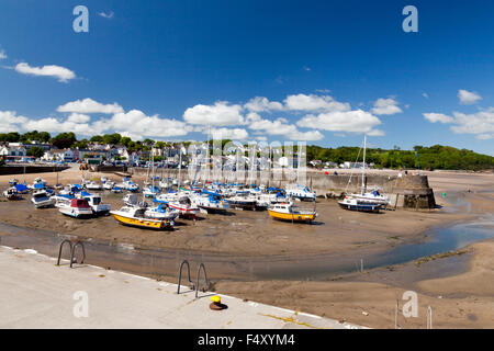 Acqua bassa nel porto a Saundersfoot, Pembrokeshire, Wales UK Foto Stock