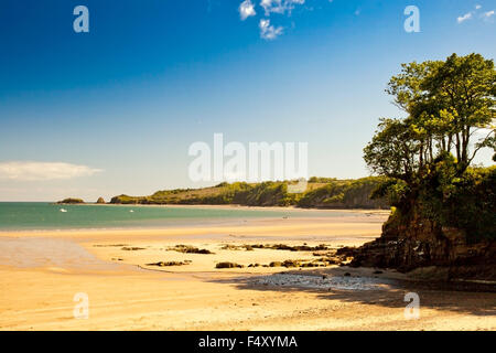 Le immacolate sabbie di Coppit Hall beach a Saundersfoot, Pembrokeshire, Wales UK Foto Stock