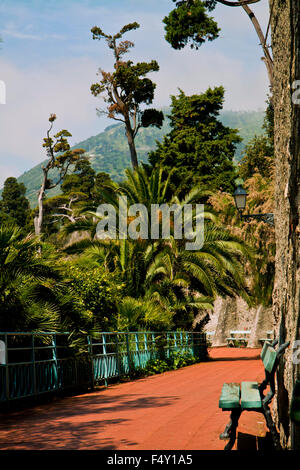 Romantico angolo di Anita Garibaldi passeggiata di Nervi, Italia, lungo il mare circondato da lussureggiante vegetazione Foto Stock