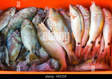 Il pesce fresco venduto a fine settimana sul mercato locale. Messa a fuoco selettiva con profondità di campo ridotta. Foto Stock