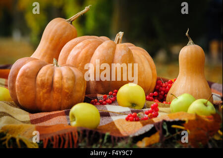 In autunno il ringraziamento ancora vita Foto Stock