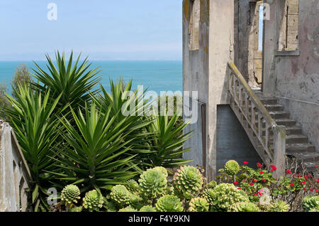 Abbandonata e rovine abbandonate di operaio casa sull isola di Alcatraz e il giardino di yucca e aeonium arboreum piante che si affaccia su san Foto Stock