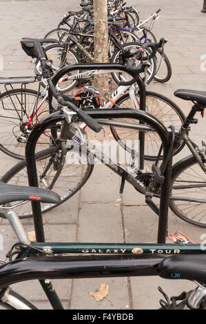 Il numero massiccio di bici incatenata su alberi rastrelliere in centro di pavimentazione in lastricato Trafalgar Square Post.Office Foto Stock