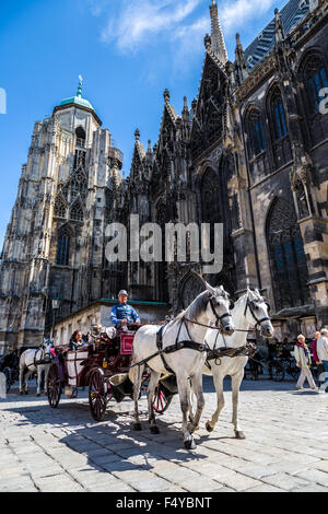 VIENNA, Austria - 4 luglio: la Cattedrale di Santo Stefano il 4 luglio 2013 a Vienna, Austria. La cattedrale di Santo Stefano con una torre di 13 Foto Stock