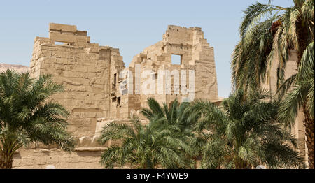 Vista dei rilievi sul primo pilone presso il tempio del faraone Ramesse III, Medinet Habu, West Bank, Luxor, Egitto Foto Stock