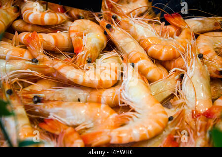 Rosa e Rosso gamberi in un mercato del pesce Foto Stock