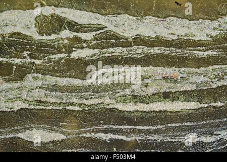 Ruvida monocromatica sfondo verde in colori pastello Foto Stock