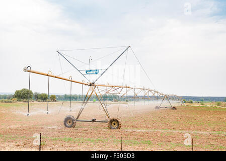 DOUGLAS, SUD AFRICA - 25 agosto 2015: un perno centrale di un sistema di irrigazione utilizzando lo stile del rotatore perno sprinkler applicatore vicino a D Foto Stock